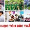 Học Phí Đại Học Tôn Đức Thắng 1 Năm