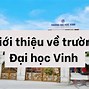 Sư Phạm Anh Đại Học Vinh