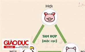 Tam Hợp Thành Mão