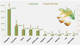 Thị Trường Xuất Khẩu Gạo 2021 Việt Nam 2022