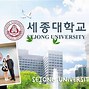 Trường Sejong Thuộc Top Mấy Việt Nam 2024 Nhất Thế Giới